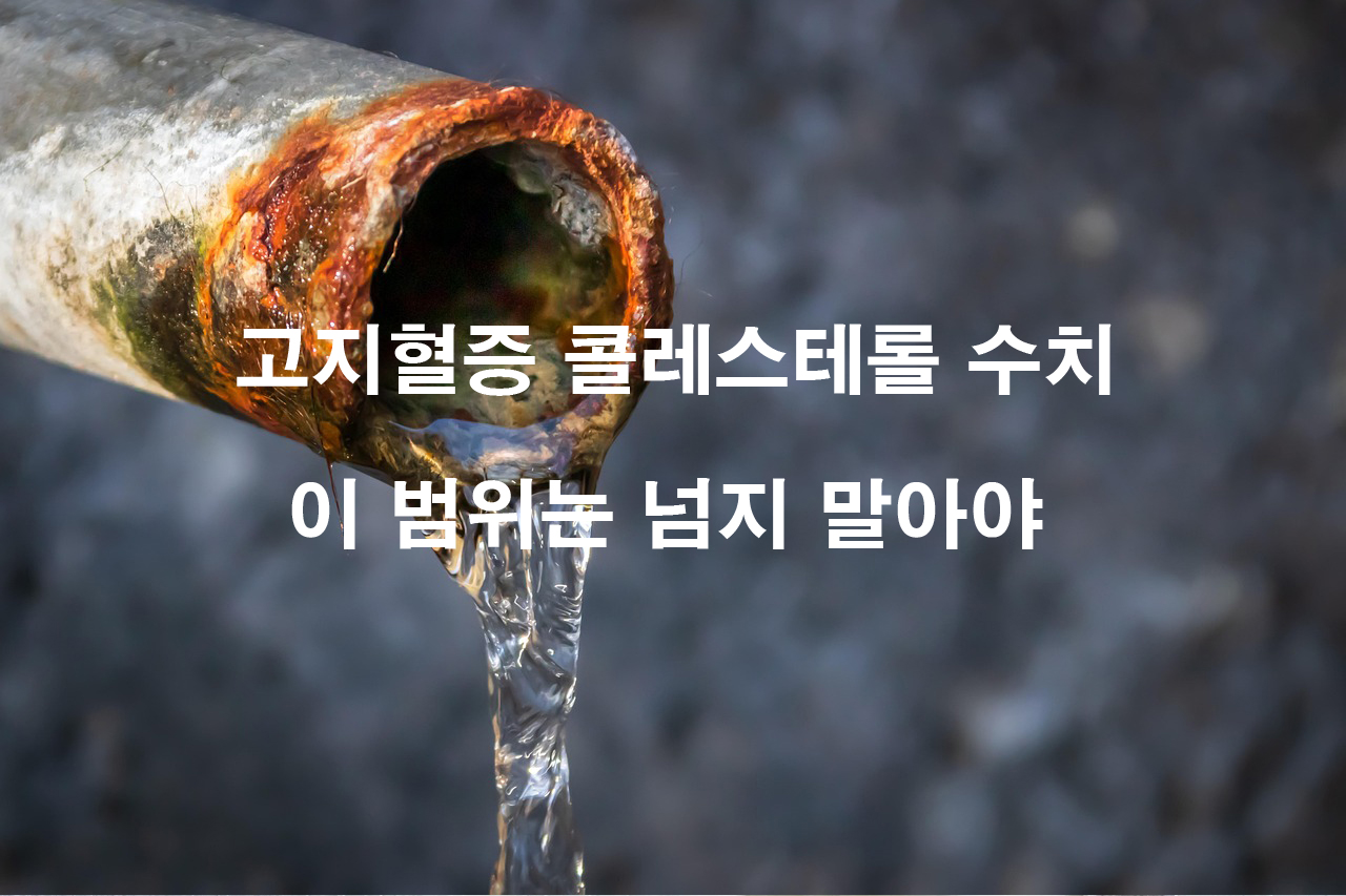 고지혈증 콜레스테롤 수치 