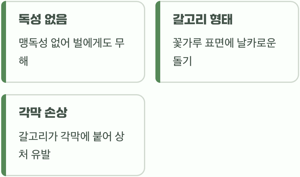 소문의 진실, ‘독’이 아닌 ‘갈고리’