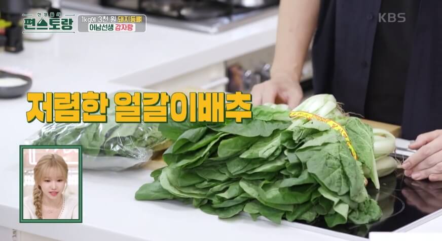 얼갈이