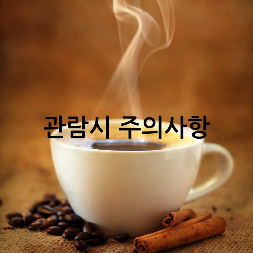 2025 서울 커피 엑스포