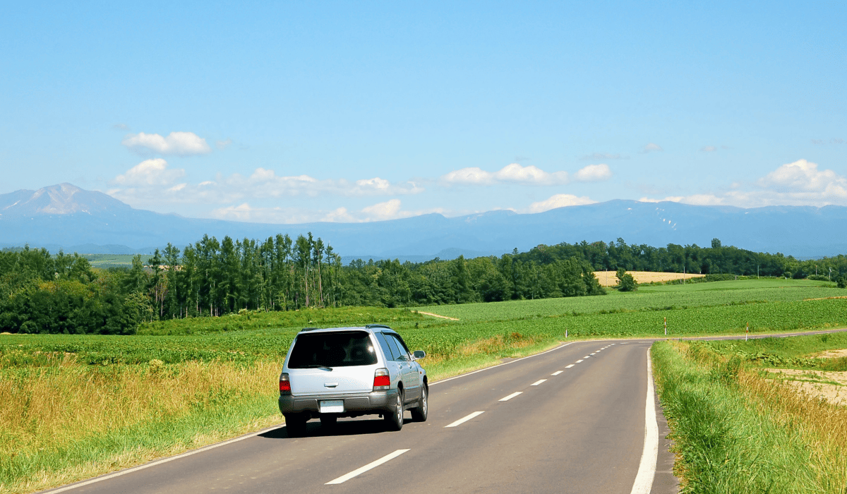 제주도_렌트카_비교사이트_19
