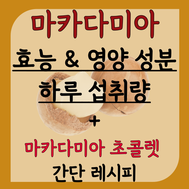 마카다미아-효능-영양성분-하루섭취량-마카다미아-초콜렛-레시피