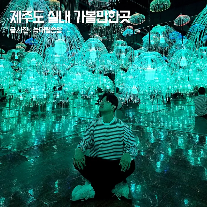 제주도 비올때 가볼만한곳 10곳 추천 실내 관광지로 모음_6