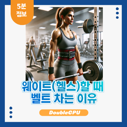 웨이트 벨트