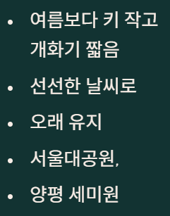 가을꽃 종류 5가지