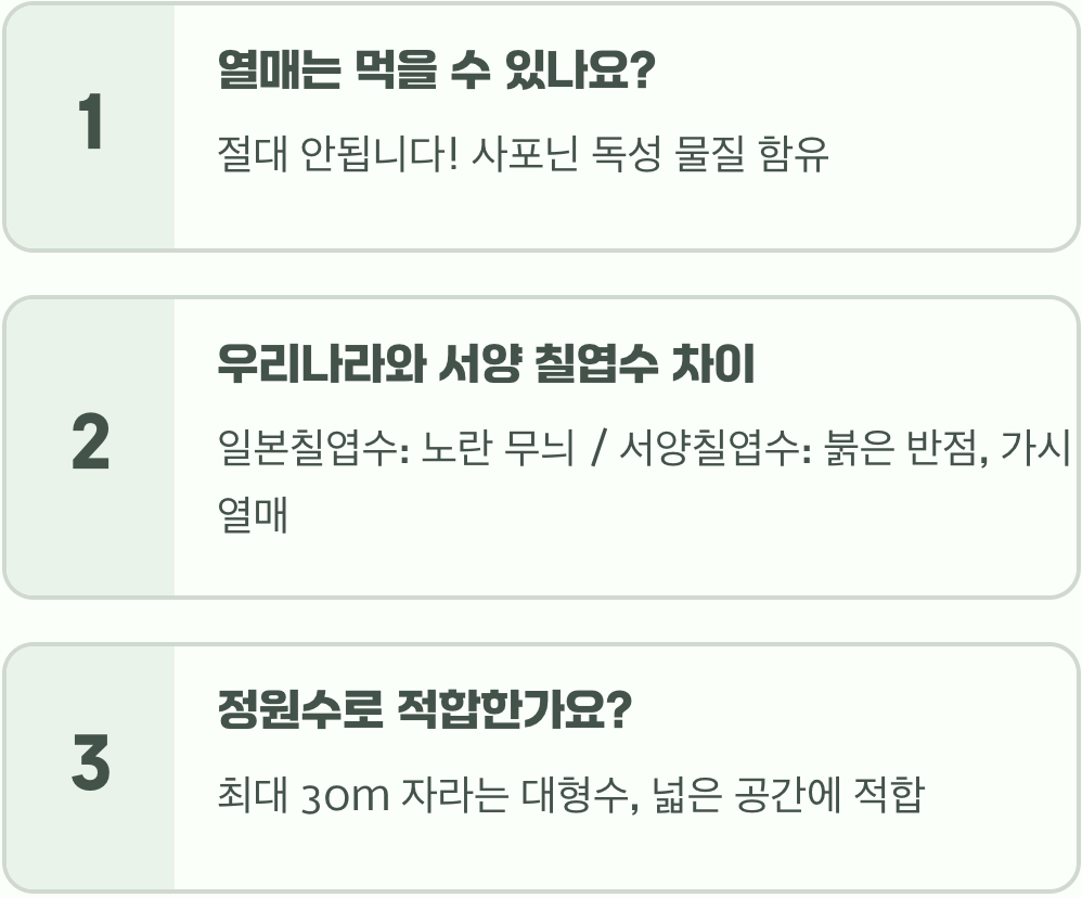 칠엽수의 사계절&amp;#44; 계절에 따라 변하는 아름다운 모습