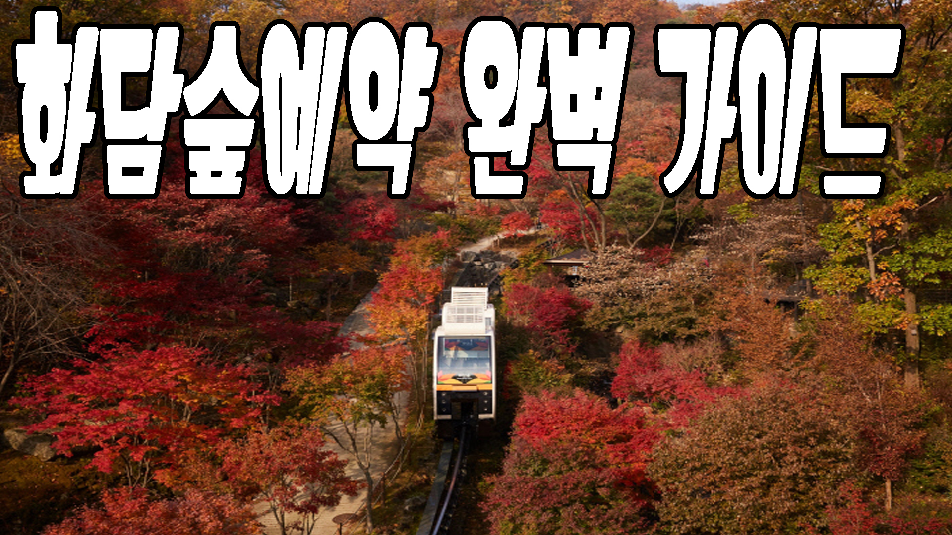 화담숲 예약 완벽가이드