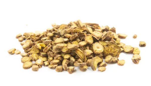 scutellaia root