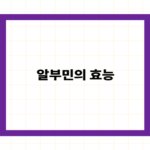 알부민의 효능 알아보기 —
간 건강과 부종 관리를 위한 필수 단백질 가이드