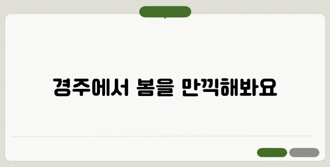 경주 벚꽃 캠핑장 추천! 벚꽃 아래 힐링 여행 떠나기