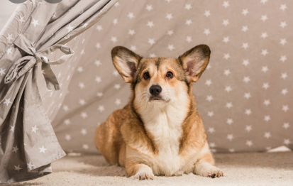 가정용 난방기 종류별 장점과 단점