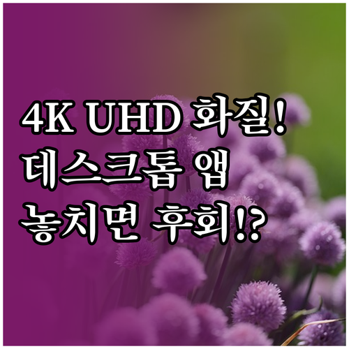 넷플릭스 최고 화질 4K UHD 확보..