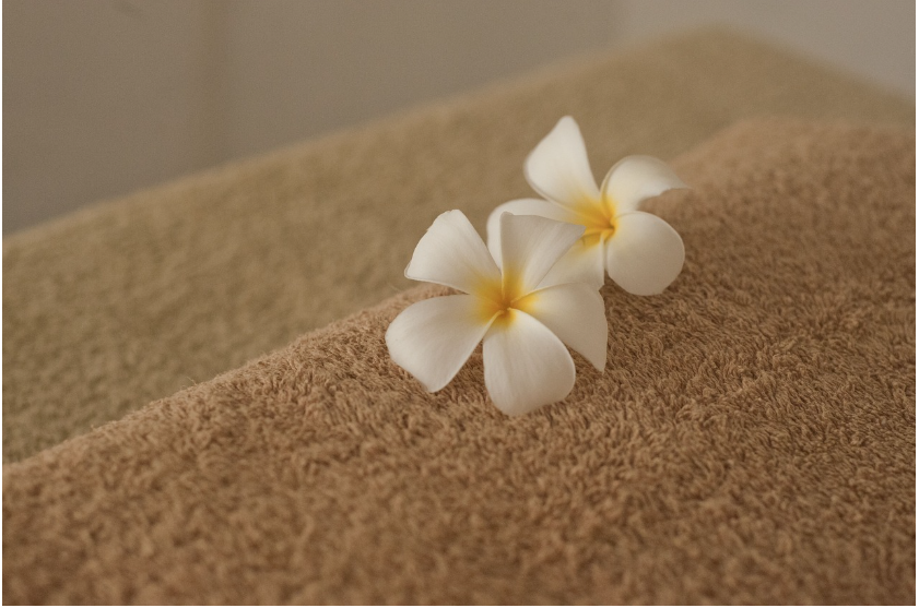 맞춤형급여안내서비스 관련사진