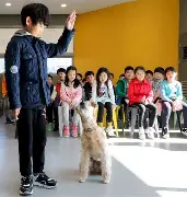 강아지 분리불안 훈련법