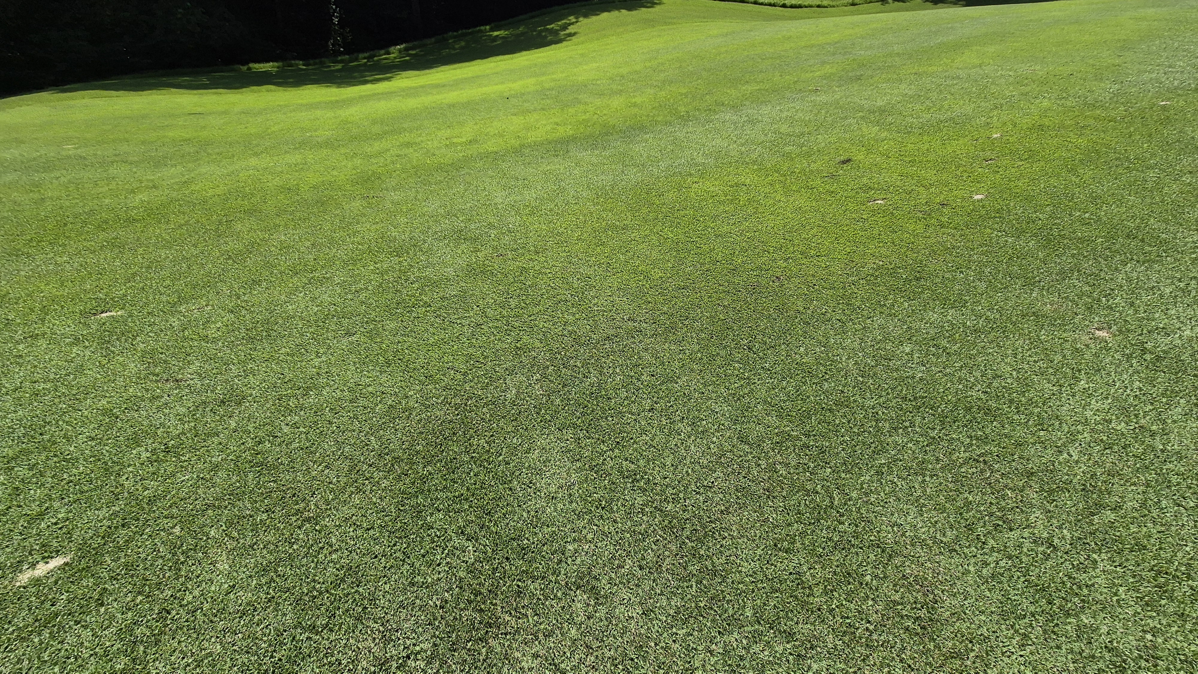 골프존카운티 천안 라운드 후기