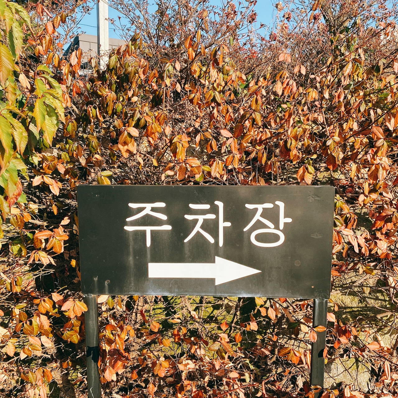 석모도 오션뷰 카페칼럼