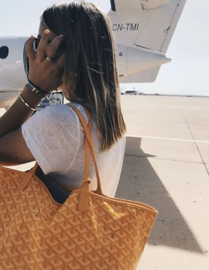 명품백-브랜드-순위-고야드-생루이백