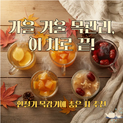환절기 목감기에 좋은 차 추천