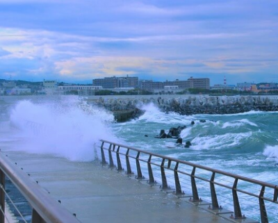 태풍 폭우 비바람 피해