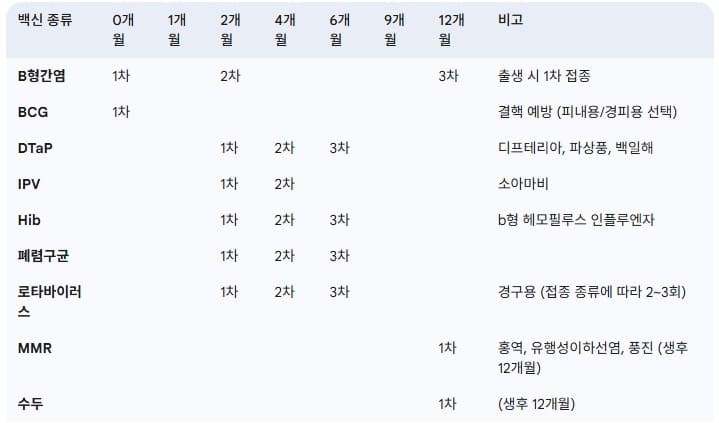예방-접종-백신별-권장-접종-시기-생후-12개월-미만