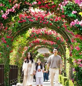 서울장미축제 일정 하는곳 