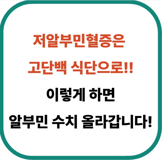 저알부민혈증 고단백 식단