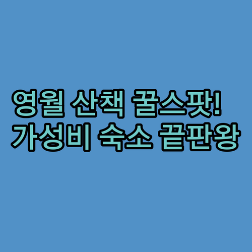 영월 실내체육관 근처 강아지 산책하기..