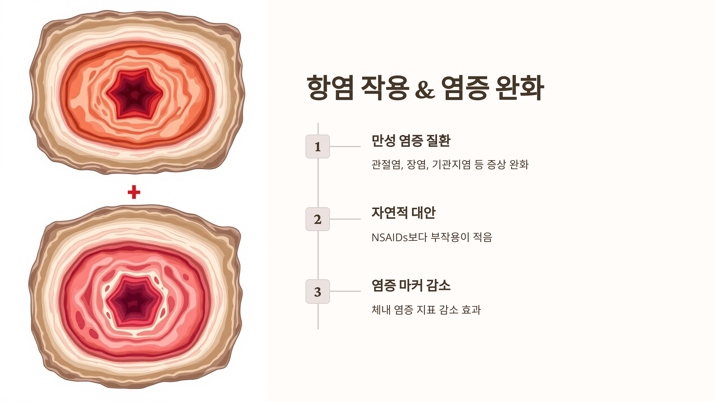 보스웰리아와 관련된 사진입니다.