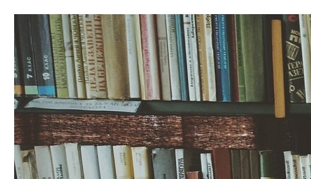 먼지다듬이 벌레