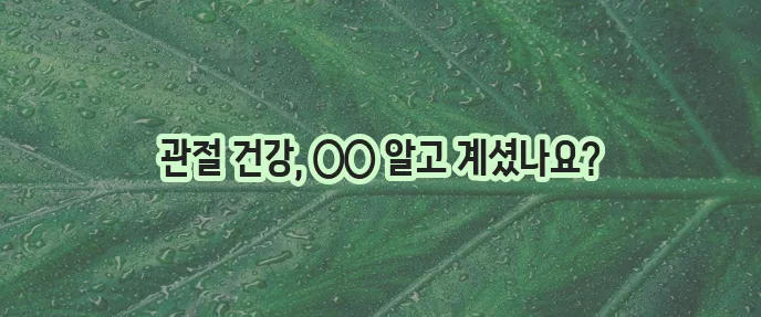 글루코사민과 콘드로이틴 효능 꼼꼼히 알아봅시다!