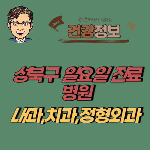 썸네일 성북구 일요일 진료 병원
