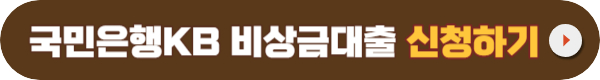 국민은행 비상금대출