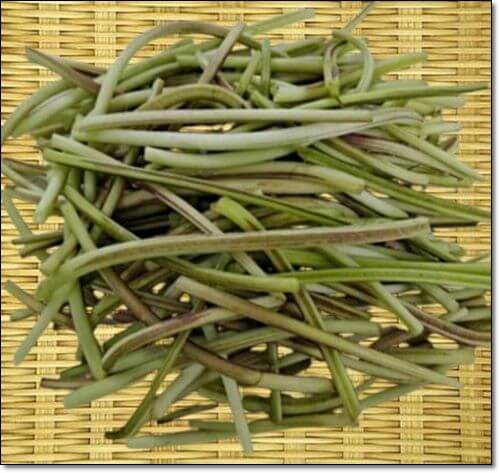 고구마줄기 효능