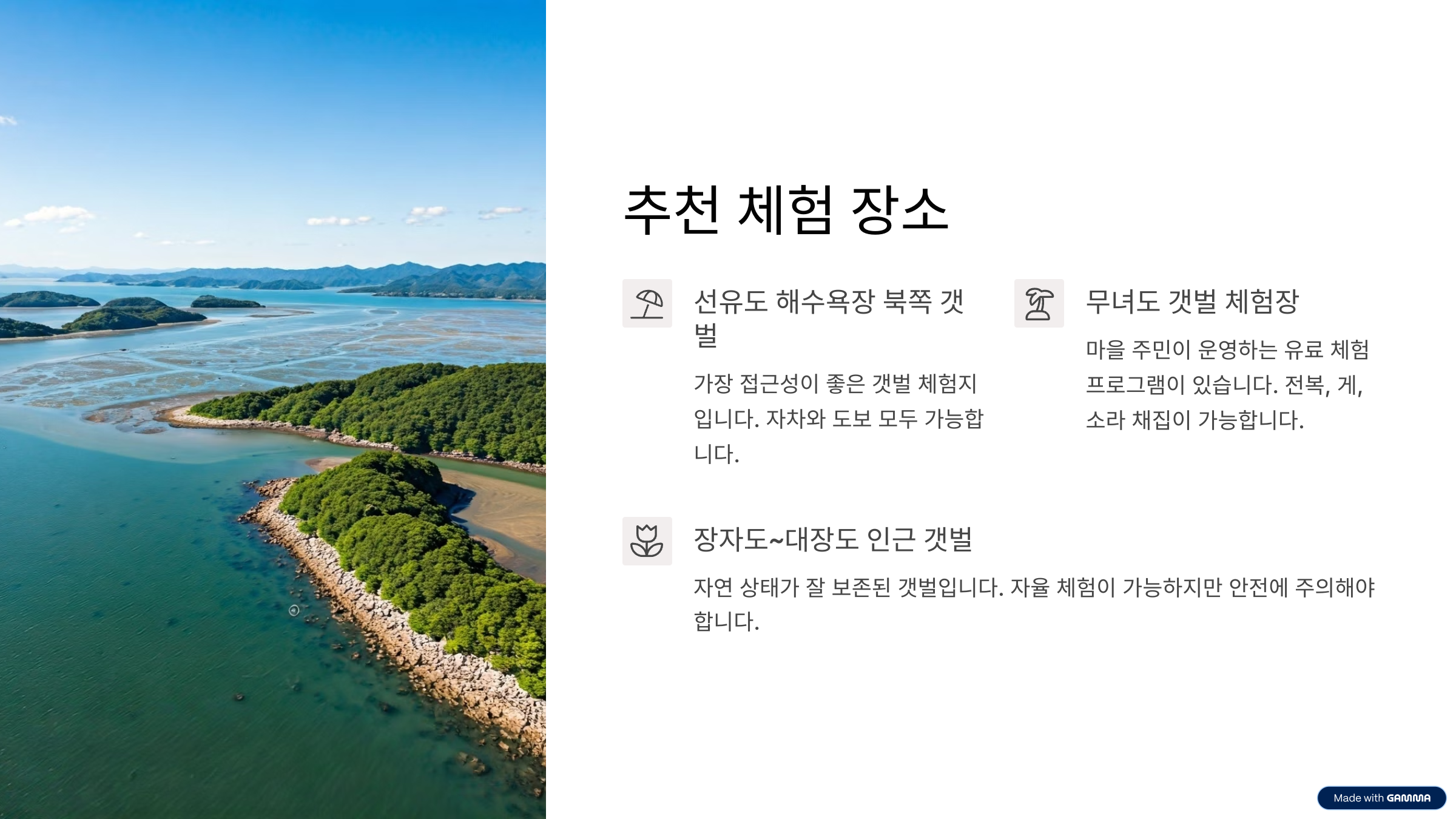 선유도 갯벌 체험 시간표 총정리 가족과 함께 즐기는 자연 체험 여행