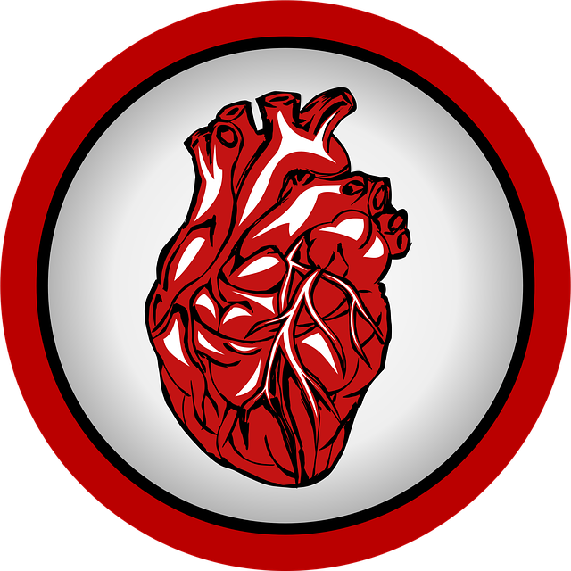 심장에 좋은 음식&amp;#44; 일상에서 어떻게 챙길 수 있을까