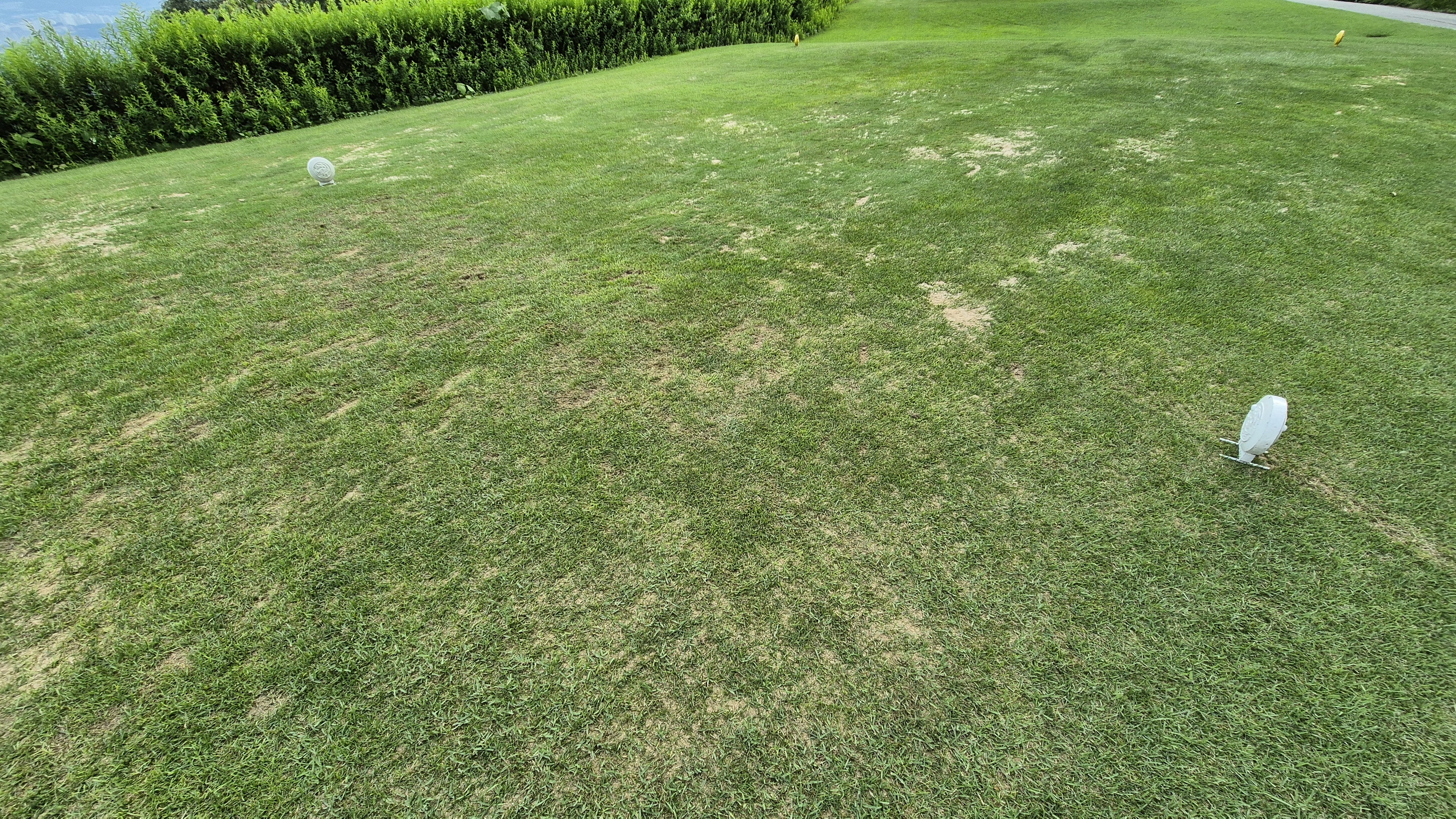 참밸리cc 라운드 후기