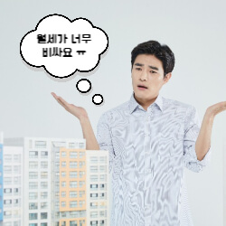 서울시 청년 월세 지원