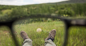 안경으로 보는 풍경