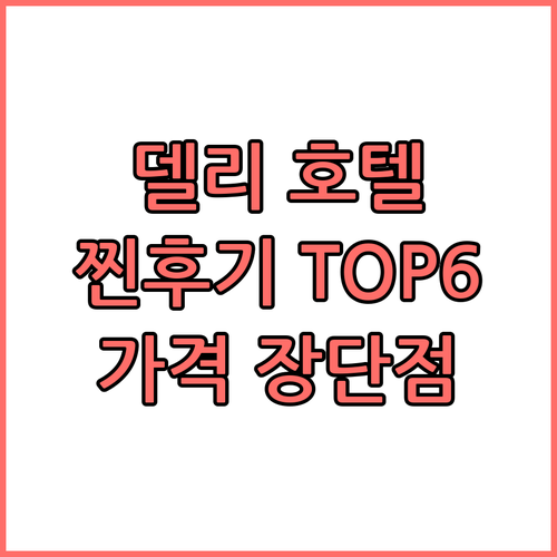 델리 호텔 TOP6 찐후기 가격 장단