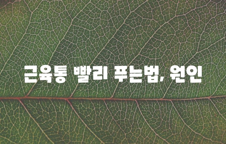 샘플 (43)
