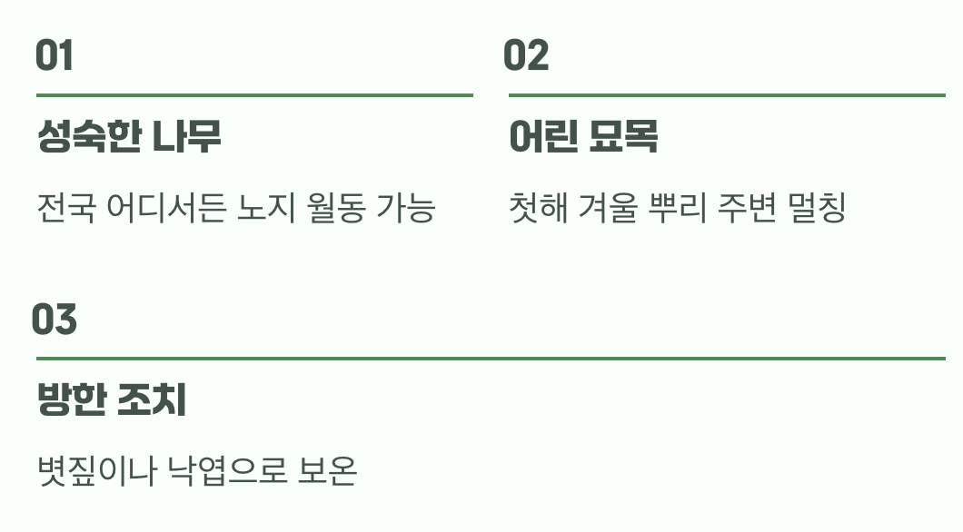 비결 5. 추운 겨울도 거뜬하게, '월동'