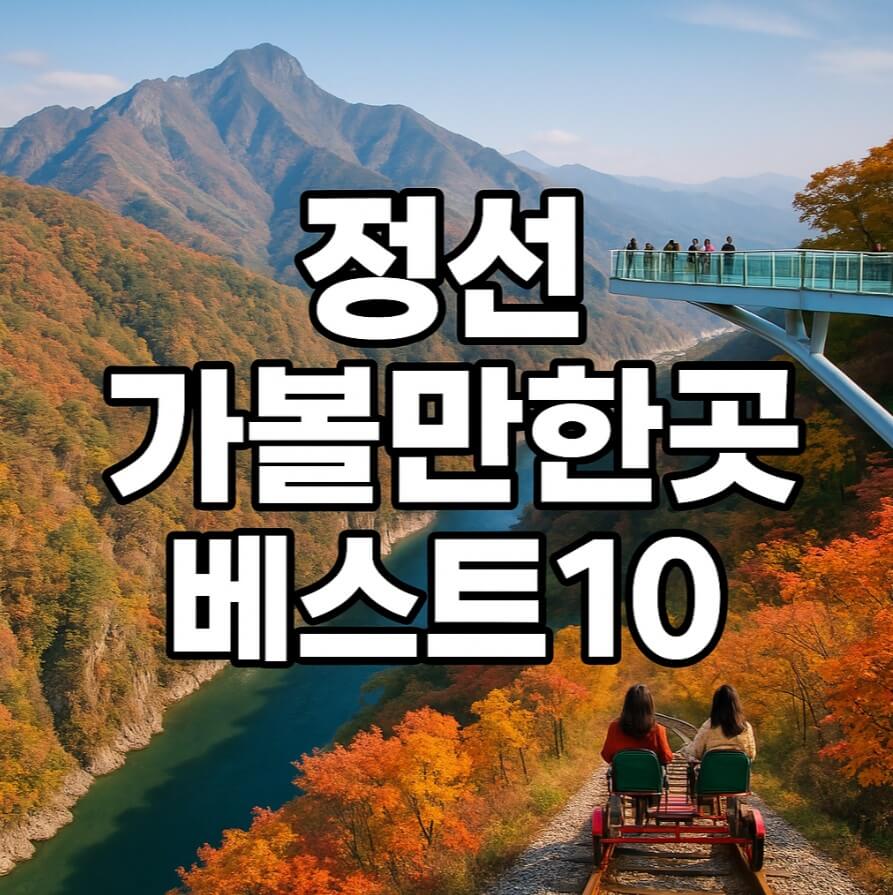 정선 가볼만한곳 베스트10