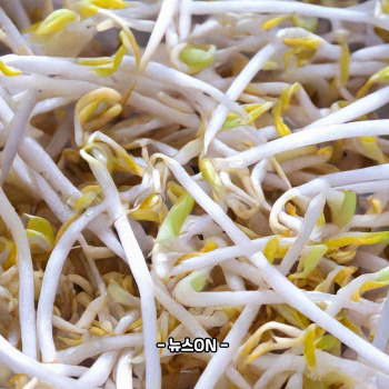 콩나물국 맛있게 끓이는 방법 