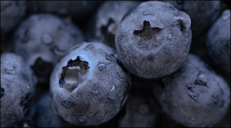 세척된 블루베리