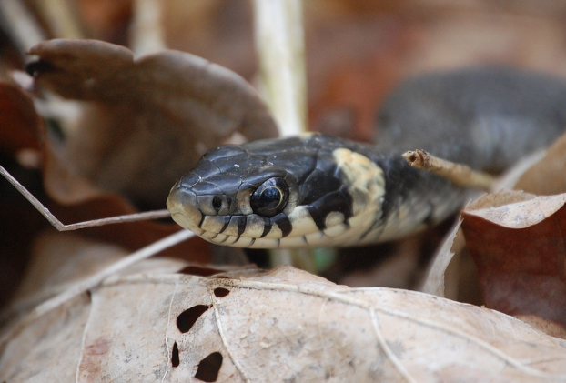 띠별 운세 11월 2일