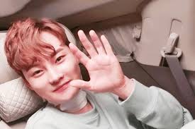 박서진 팬카페 정보 및 가입방법