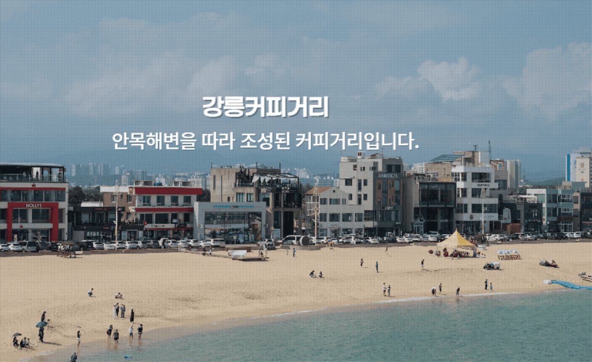 강릉커피거리