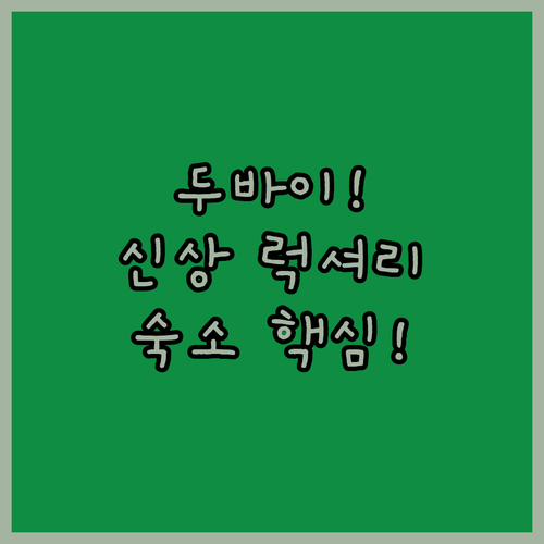 2024년 두바이 신상 럭셔리 빌라부..