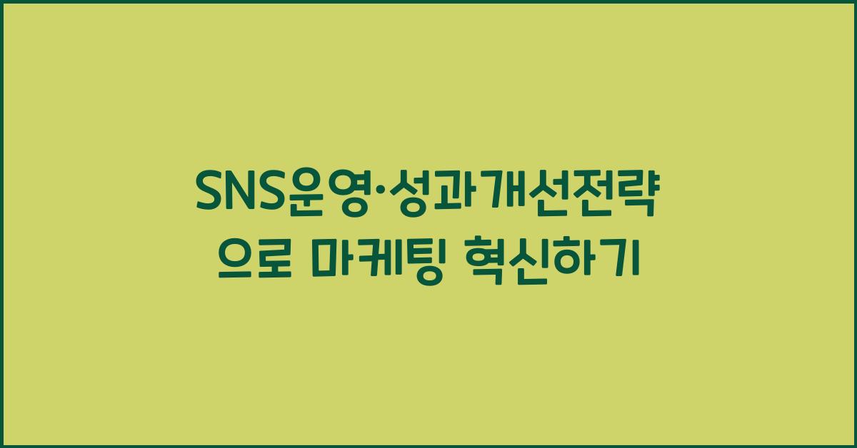 SNS운영·성과개선전략