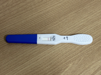 배란-7일차-증상-테스트기-단호박